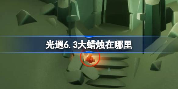 6.3