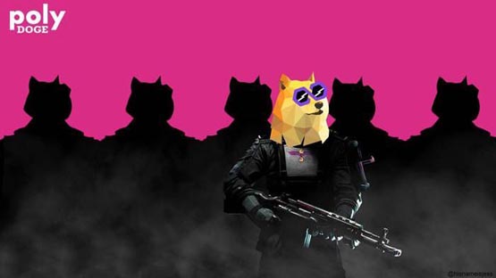 POLYDOGEңPolygonϵ meme ³