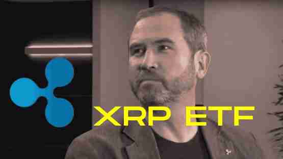 XRP ETF룺Bitwiseս