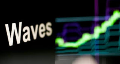 WAVES⣺ڿԴȫƽ̨