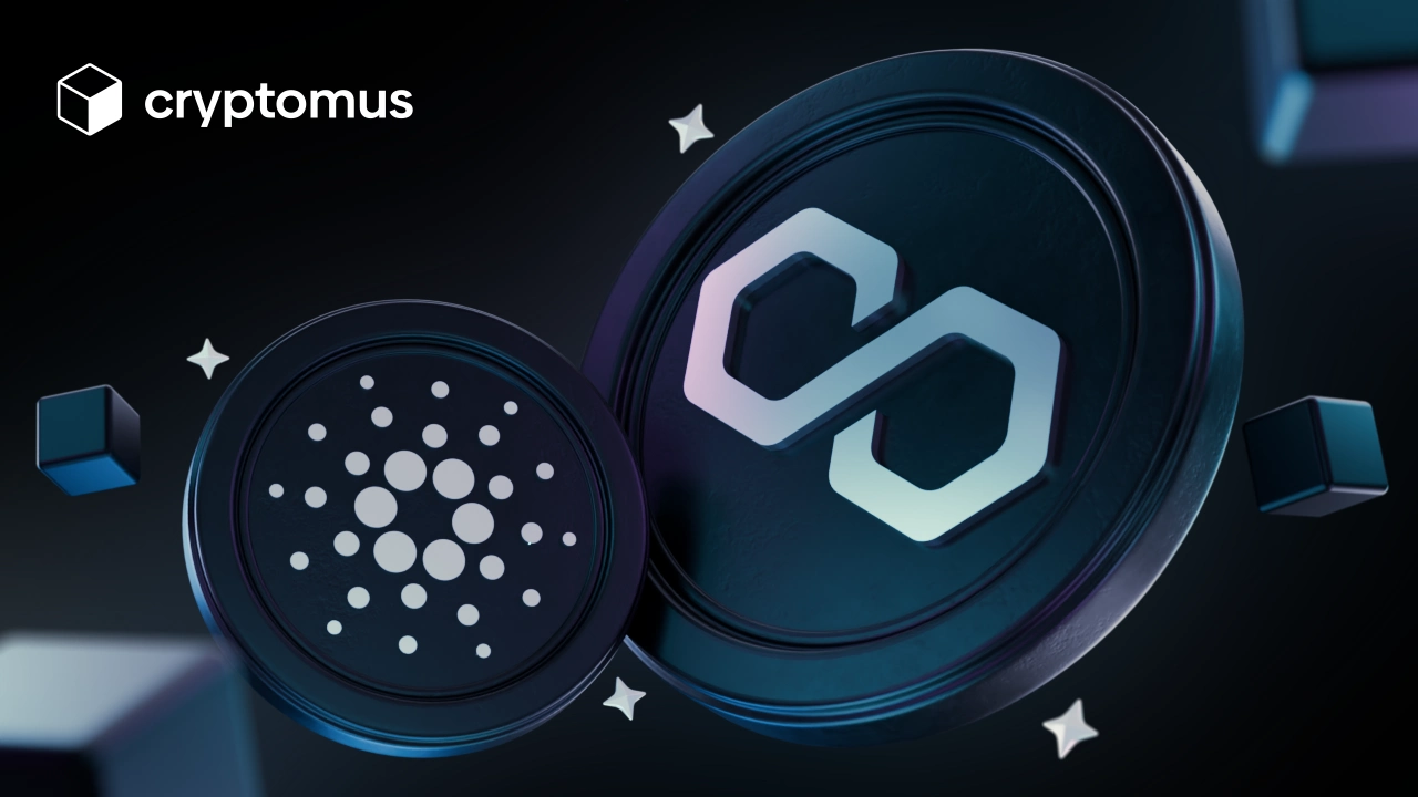 Cardano vs PolygonȫԱȷ