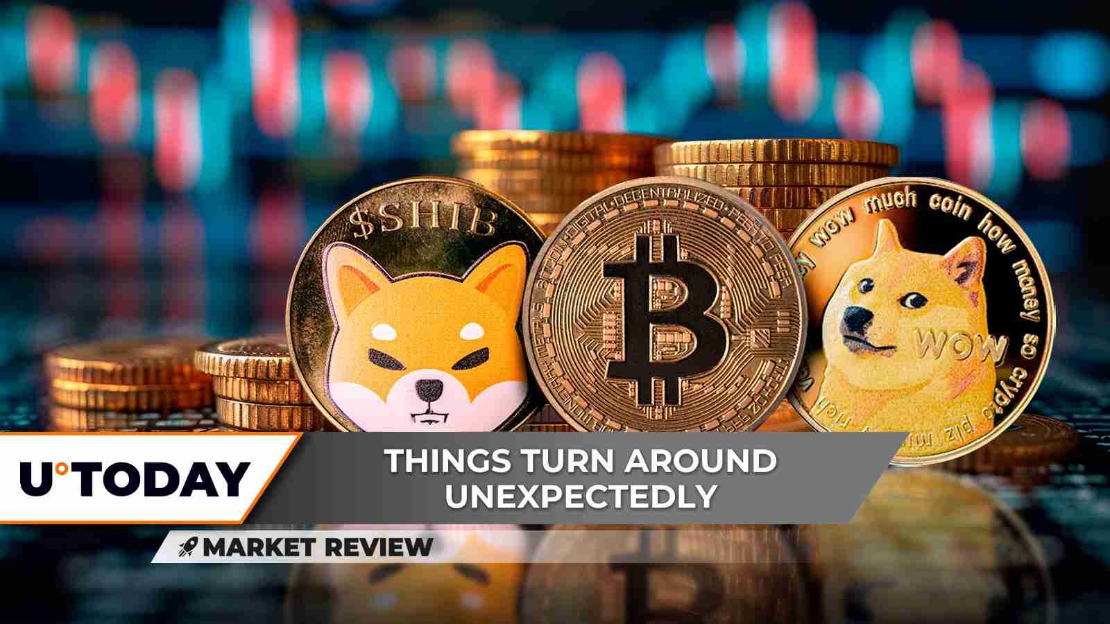 رңBTCļ۸Ϊ$ 104400Shiba InuShibƿʾ΢ǱڵĿź