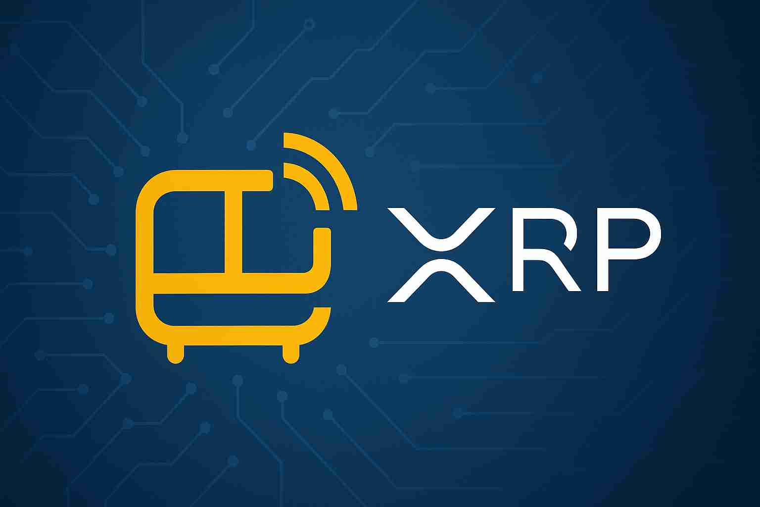 Webus International޹˾ֵߴ3ԪXRPսԴ