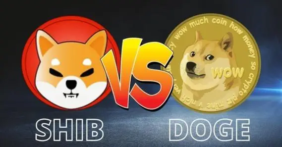SHIB vs DOGE˭ưMemeCoin