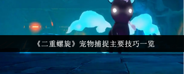 ﲶ׽Ҫһ