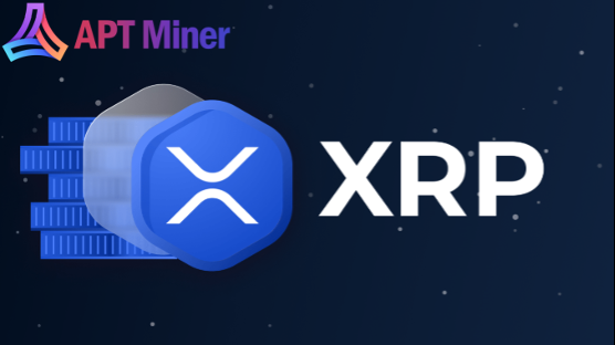 APT MinerһXRPDogecoinߵµھƽ̨
