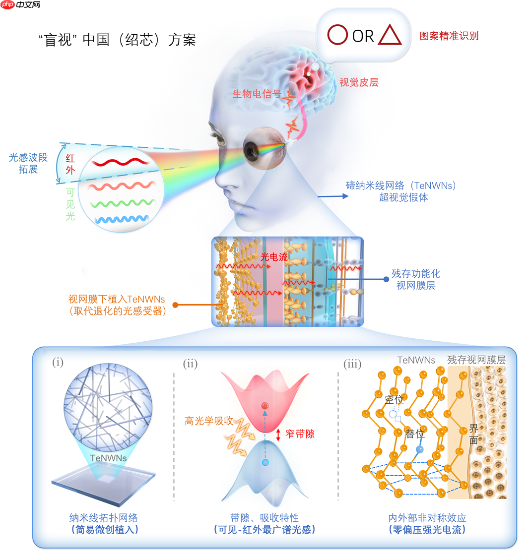 ScienceذоʵҿŶӳɹƳӾ
