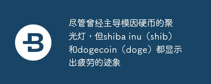ģӲҵľ۹ƣshiba inushibdogecoindogeʾƣ͵ļ
