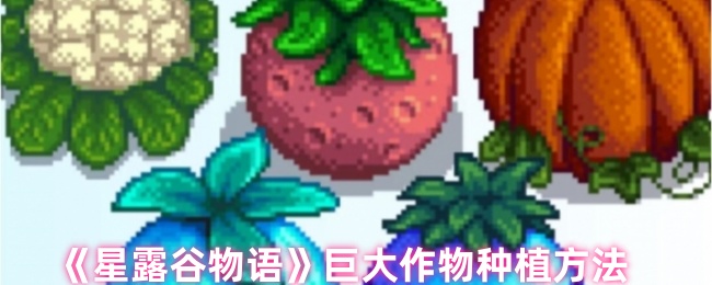 ¶޴ֲ