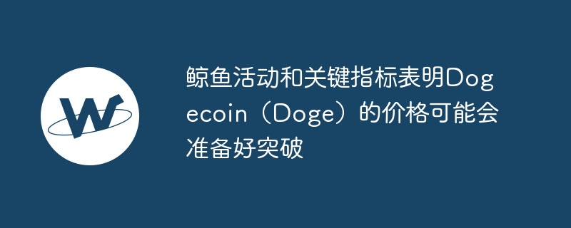 ͹ؼָDogecoinDogeļ۸ܻ׼ͻ