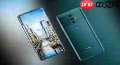 ڻΪmate20 ProôΪmate20 Proķ