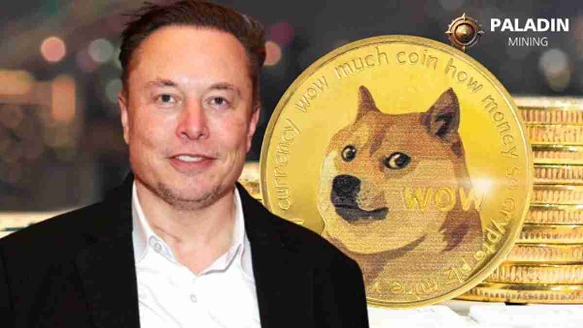 DogecoinƲɿ