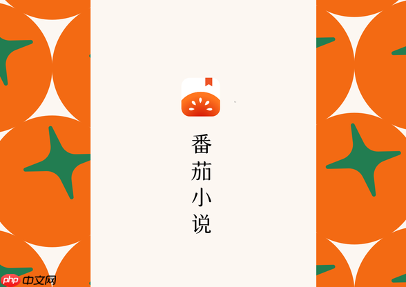 С˵η̬ С˵̷̬̳