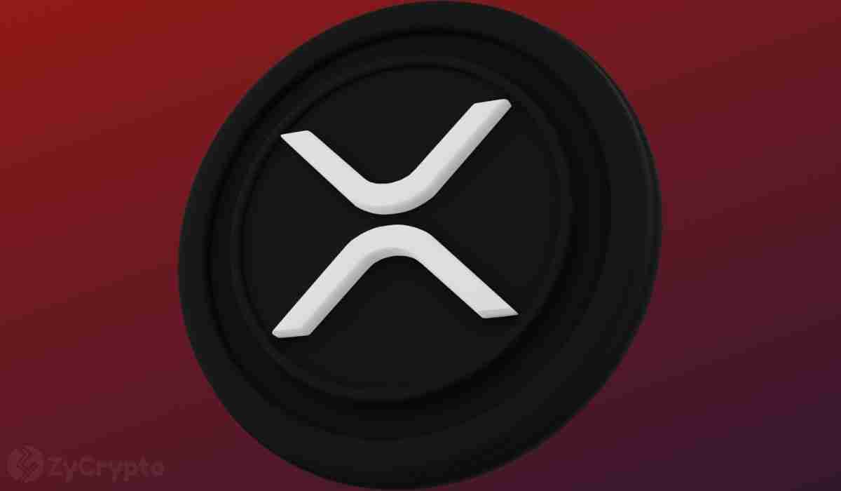 XRPڱ