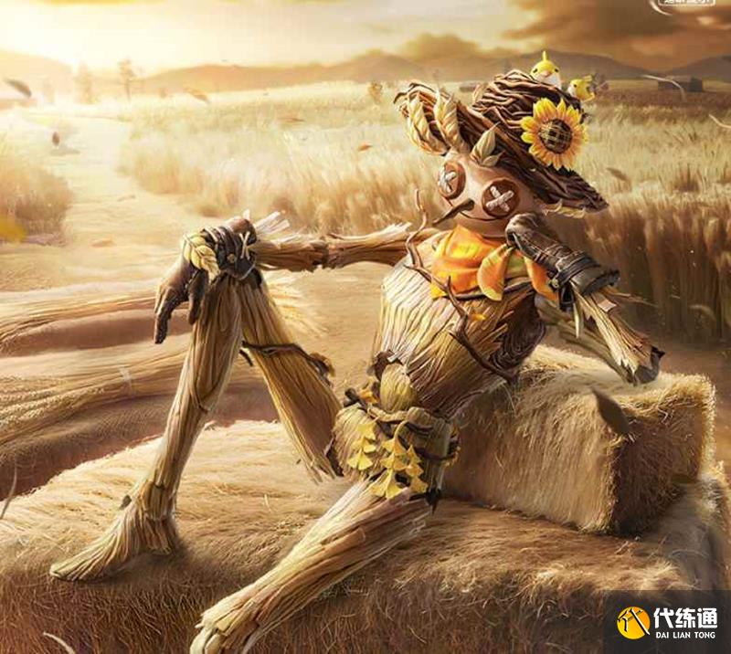 ƽӢŵ˶Ǯ Ƥŵ˼۸