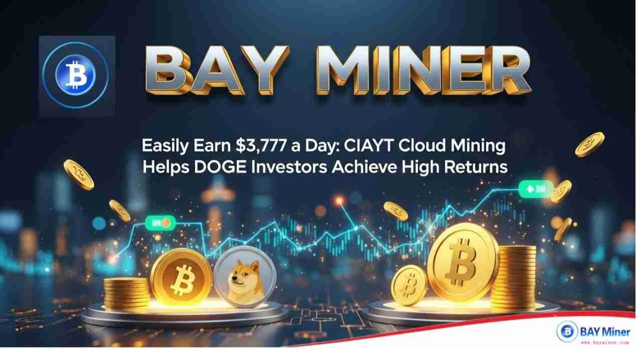 Bay MinerµڱرңBTCDogecoinDogeLitecoinLTCɿƶӦó