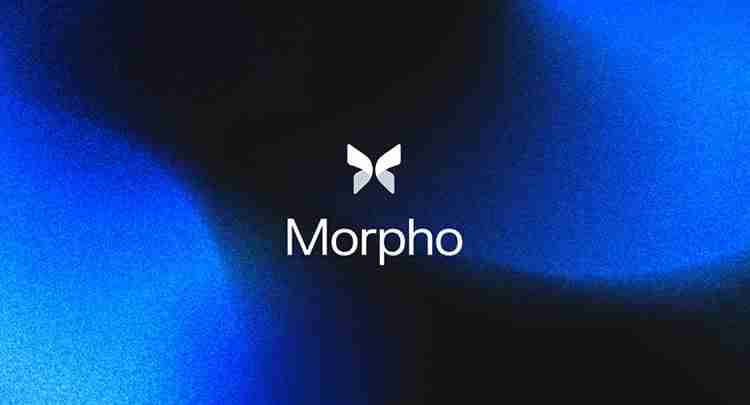 MORPHOδչ2024-2030۸Ԥ