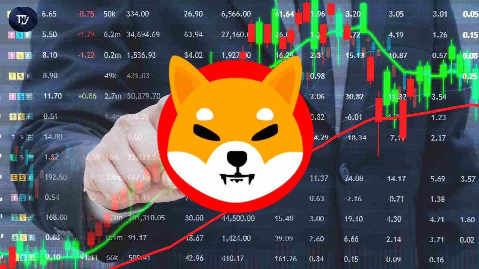 Shiba INUSHIBзϲ