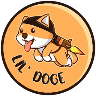 LILDOGEҾ裺Ƿ