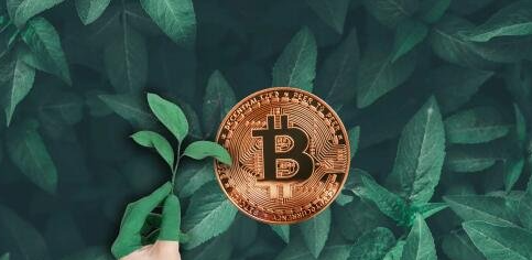 BTCױ⣺ԳȽͶ