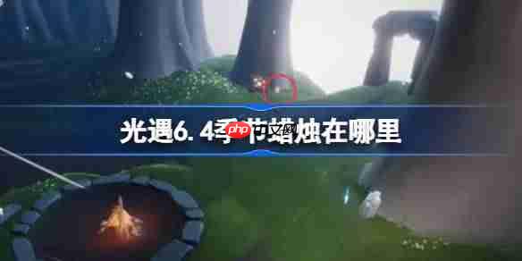 6.4-64ռλù