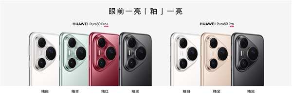 6499Ԫ𣡻ΪPura 80 Pro/Pro+9020