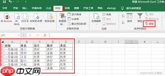 Excel߼ɸѡôʹ