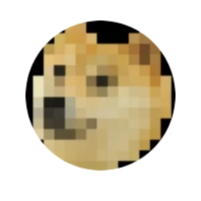 DOGE۸