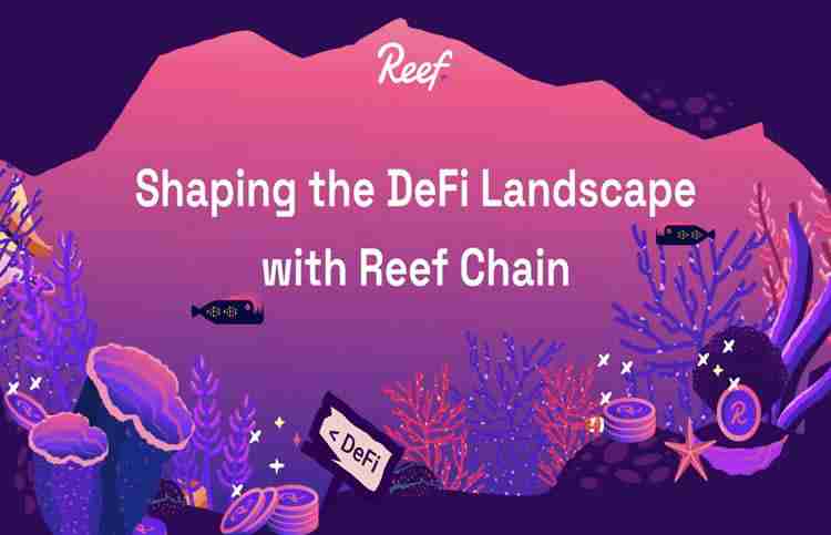 REEF⣺ͶǱδ