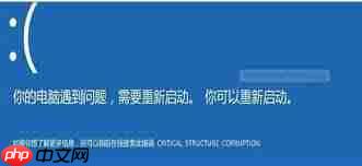 win10޸