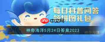 ֧溣5.24մ