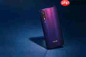 vivo Z5Ļ˽