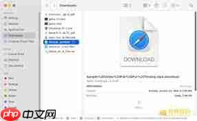 downloadingʲôʽļ