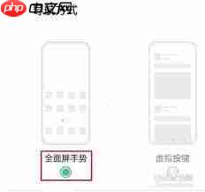 oppoֻιرȫģʽ