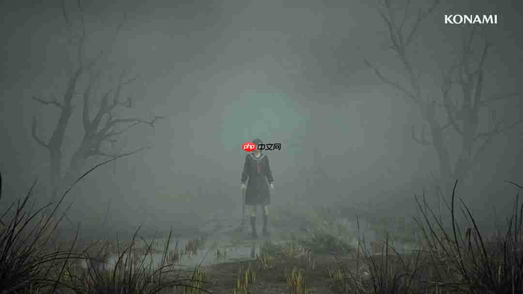 žfƵ ŮԹŮ