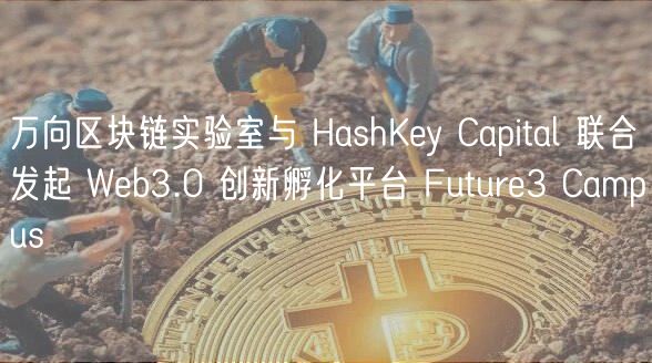 HashKey CapitalƳWeb3.0ƽ̨