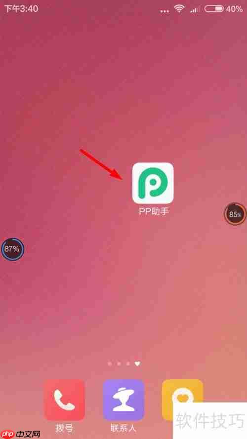 PPֱӦùʹָ