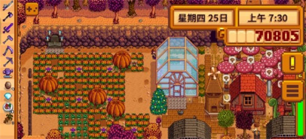 星露谷物语巨大作物怎么种-星露谷物语巨大作物怎么种出来_wishdown.com 星露谷物语巨大作物怎么种-星露谷物语巨大作物怎么种出来_wishdown.com