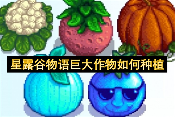 ¶޴ô-¶޴ôֳ