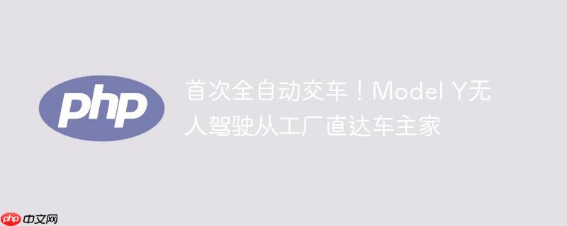 ״ȫԶModel Y˼ʻӹֱﳵ