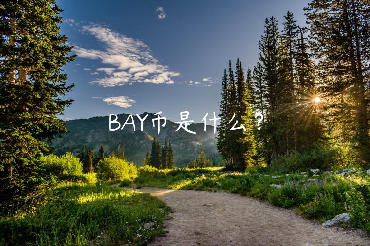 BAY⣺ŷ30%