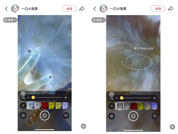 ѷiPhoneܼ ƻӦŴ޴˹