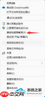 Win11Ƶô