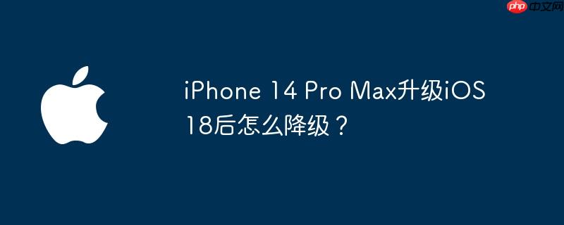iPhone 14 Pro MaxiOS 18ô