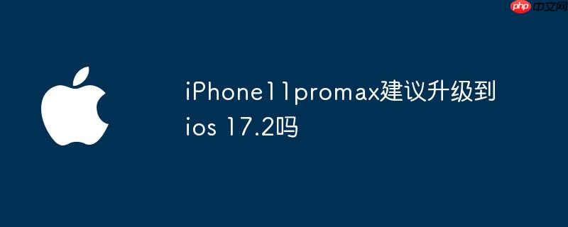 iPhone11promaxios 17.2