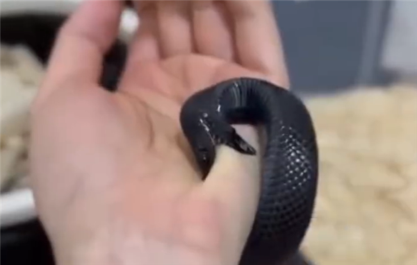 販߻ˮҧס룺˵