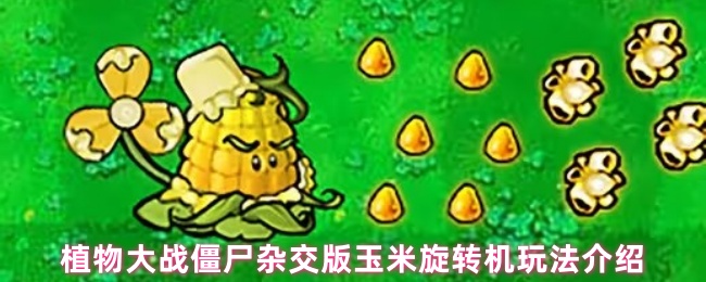 ֲսʬӽת淨