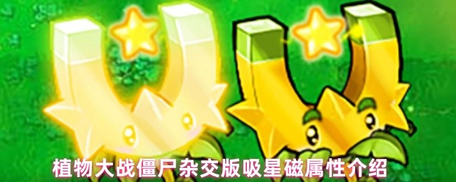 ֲսʬӽǴԽ