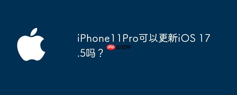 iPhone11ProԸiOS 17.5
