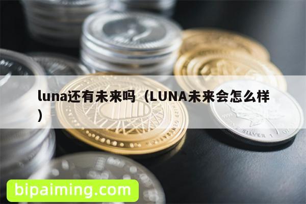 LUNAδӹ㵽յϣ